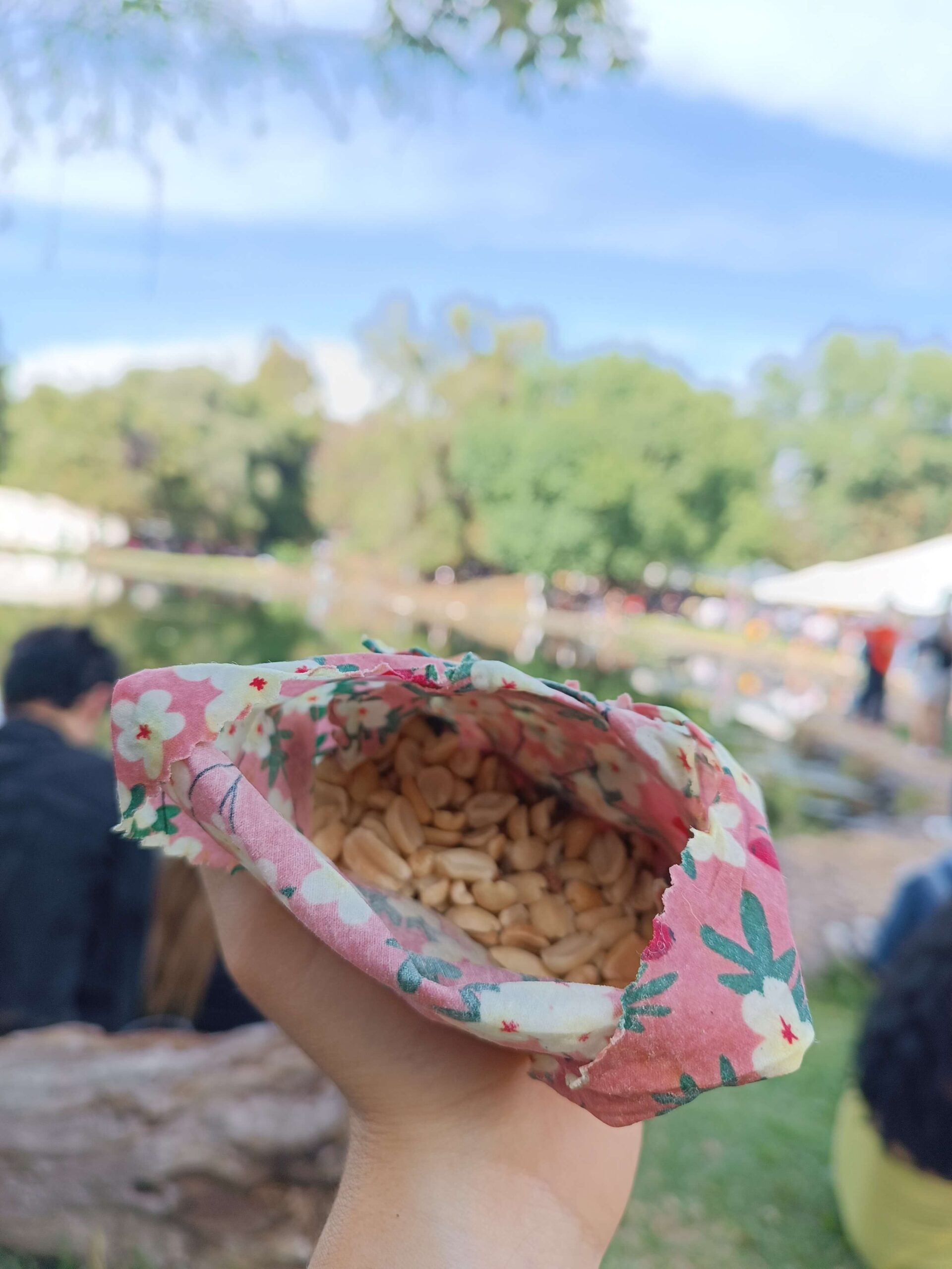 Tela encerada para alimentos doblada como bolsita para llevar snacks. Cacahuates.