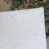 Hojas de Papel Reciclado