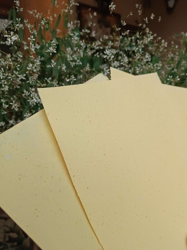 Hojas de Papel Reciclado