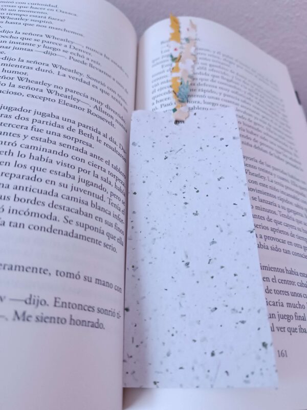 1721088150085 (1) Separador de Libros